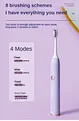 Sonic electric toothbrush